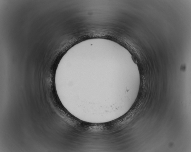 X0000099980362200806201431