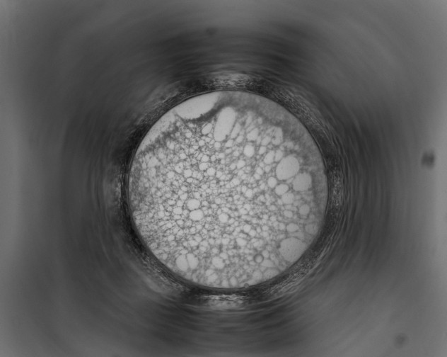 X0000099980363200806201431