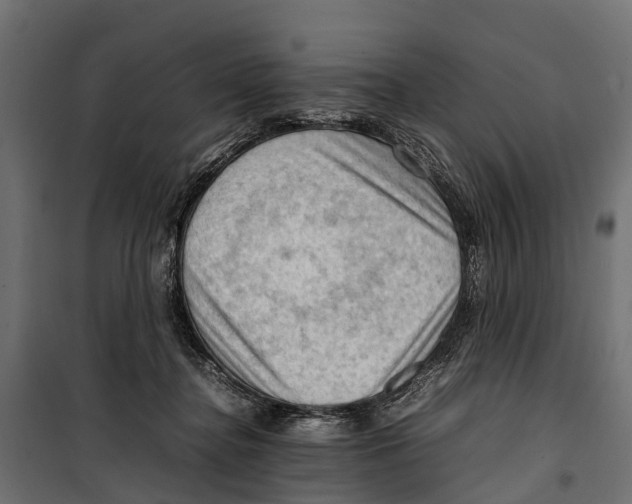 X0000099980364200806201431