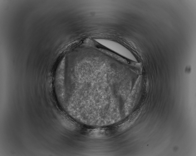 X0000099980366200806201431