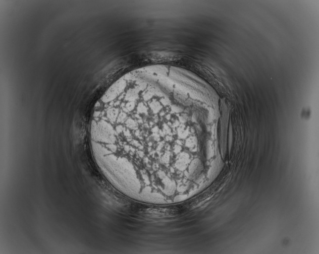 X0000099980367200806201431