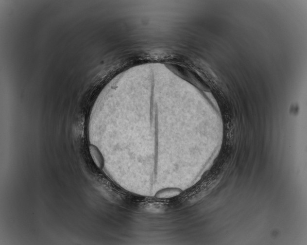 X0000099980368200806201431