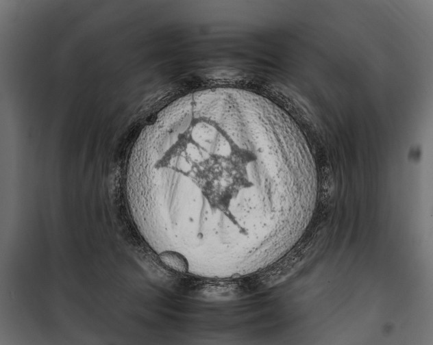 X0000099980369200806201431