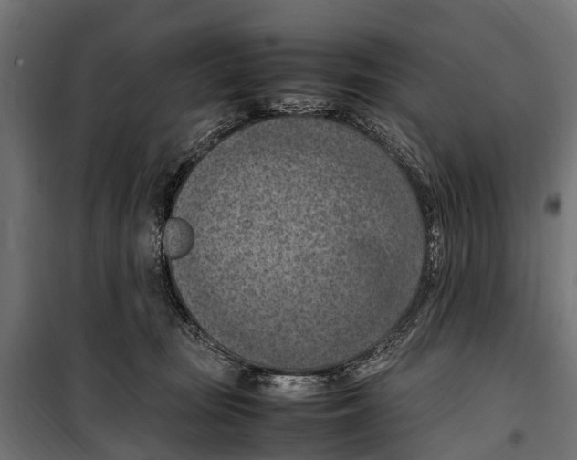 X0000099980371200806201431