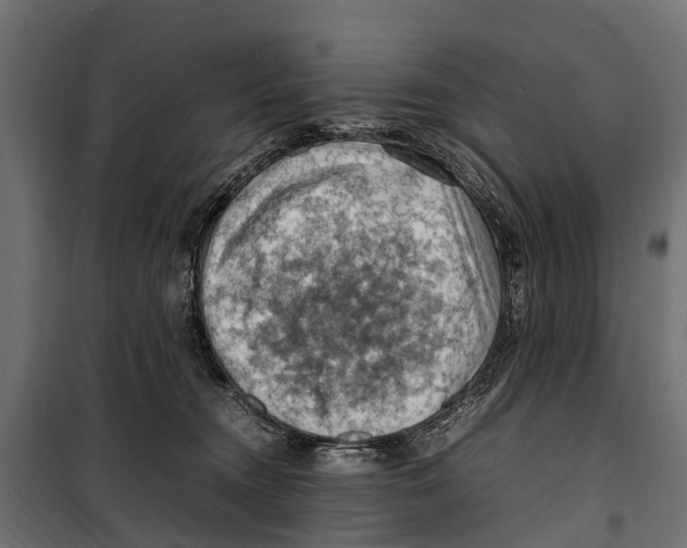 X0000099980372200806201431