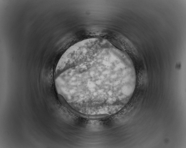 X0000099980376200806201431