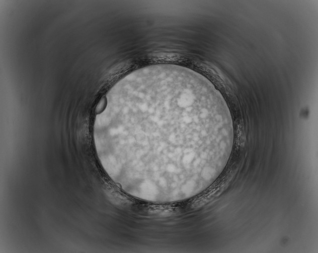 X0000099980377200806201431