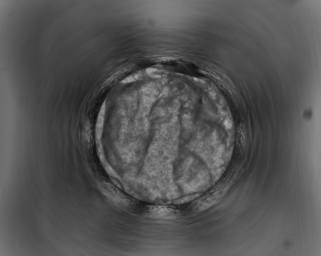 X0000099980380200806201431