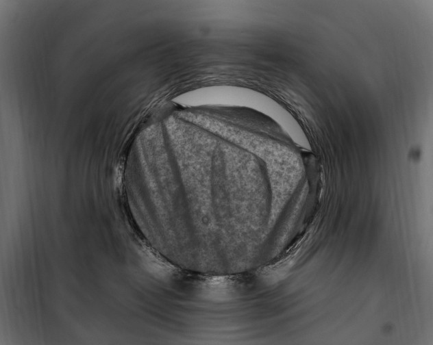 X0000099980382200806201431