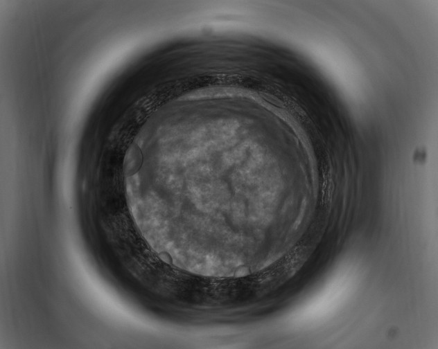 X0000099980383200806201431