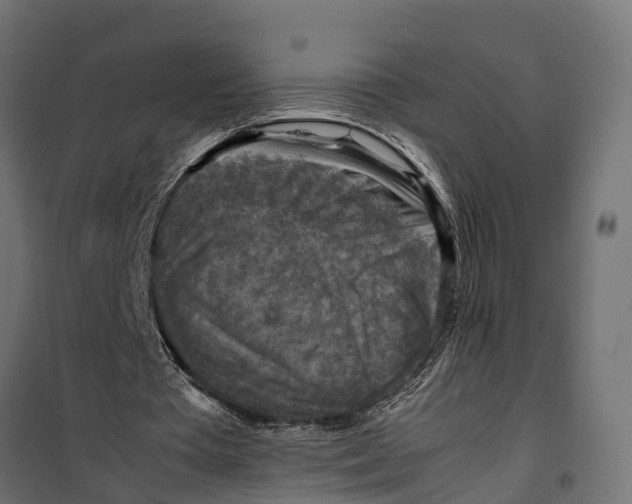 X0000099980385200806201431