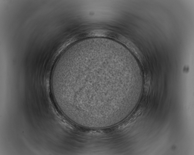 X0000099980386200806201431