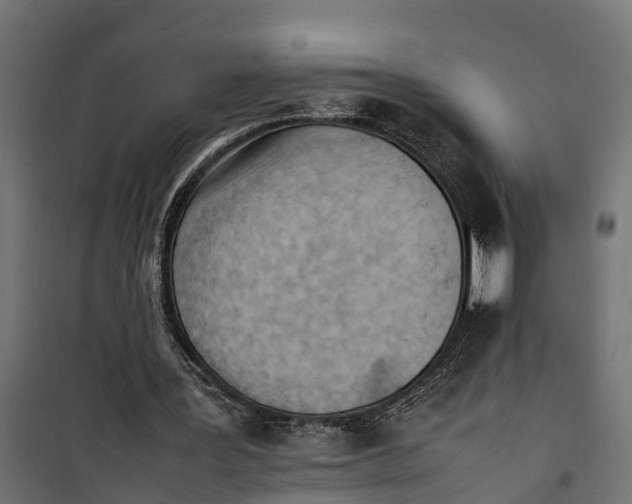 X0000099980387200806201431