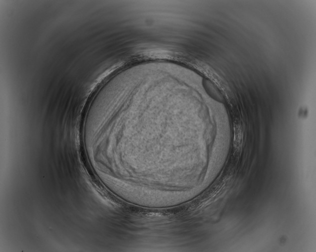 X0000099980390200806201431