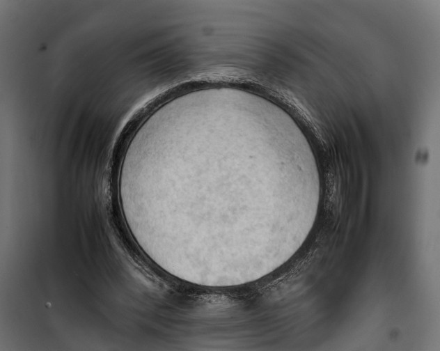 X0000099980392200806201431