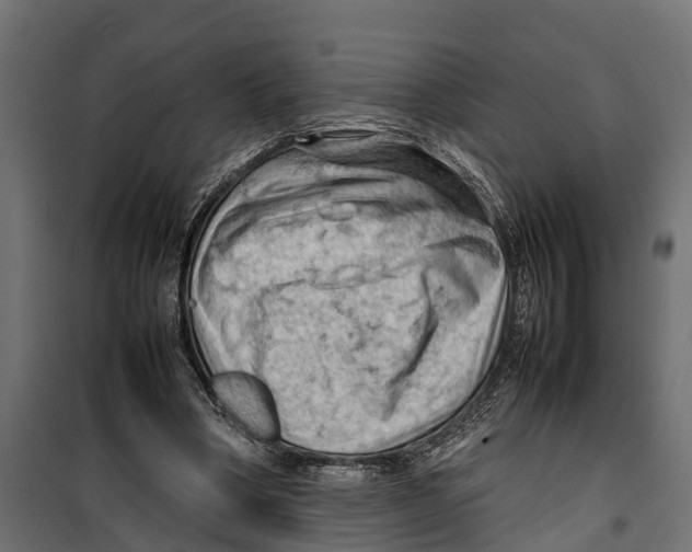 X0000099980394200806201431