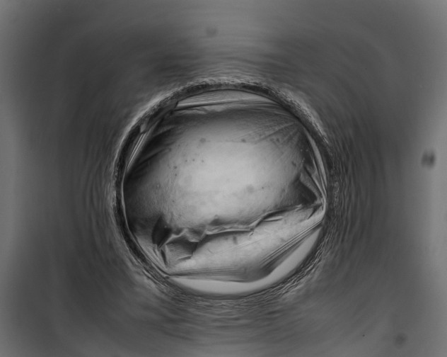 X0000099980395200806201430