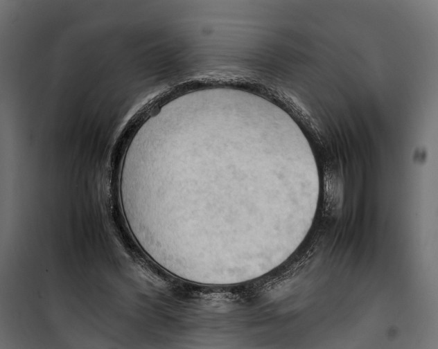 X0000099980396200806201430