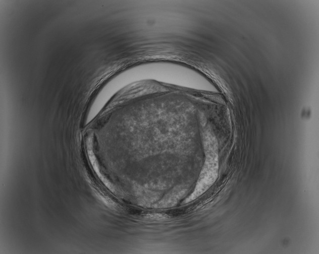 X0000099980397200806201430