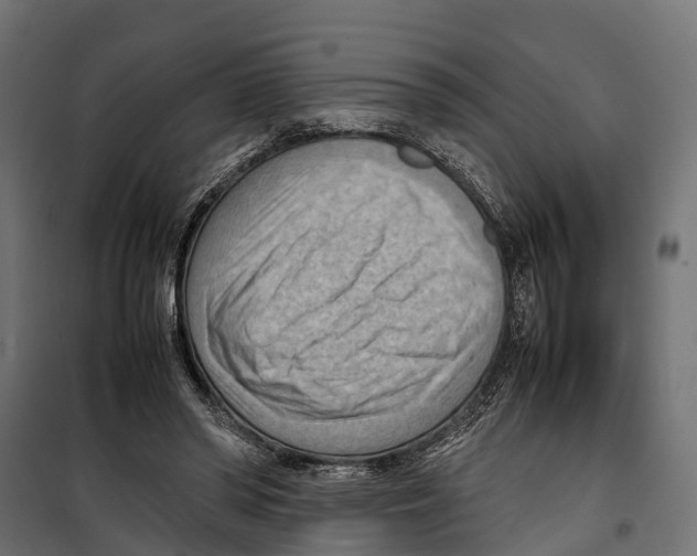 X0000099980398200806201430