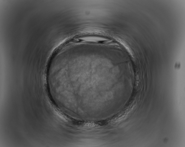 X0000099980399200806201430