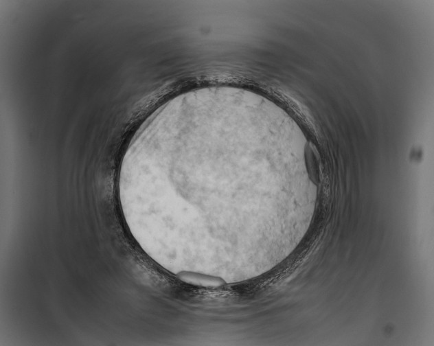 X0000099980401200806201430