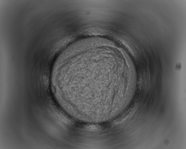 X0000099980402200806201430