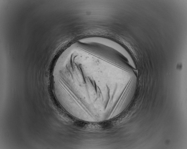 X0000099980403200806201430