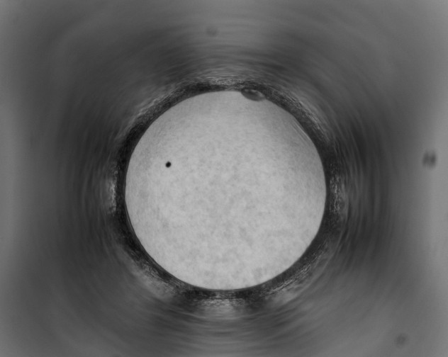 X0000099980404200806201430