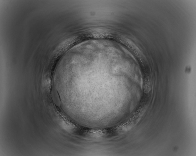 X0000099980405200806201430