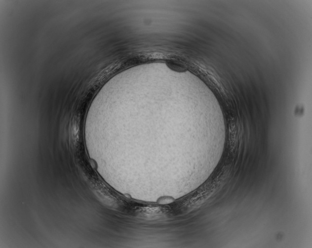 X0000099980406200806201430