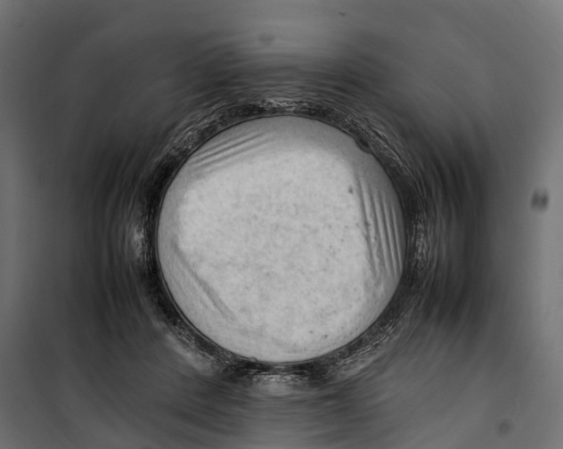 X0000099980408200806201430