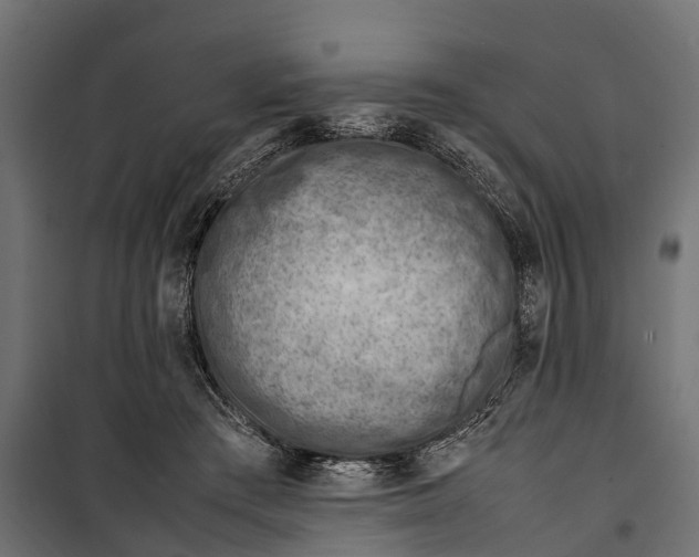 X0000099980409200806201430