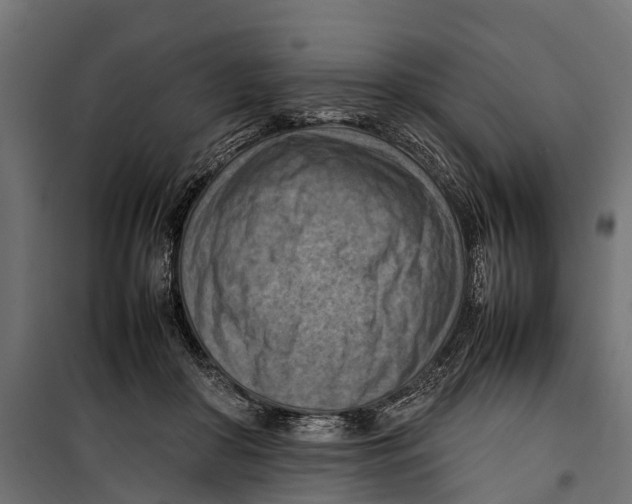 X0000099980410200806201430