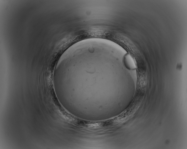 X0000099980411200806201430