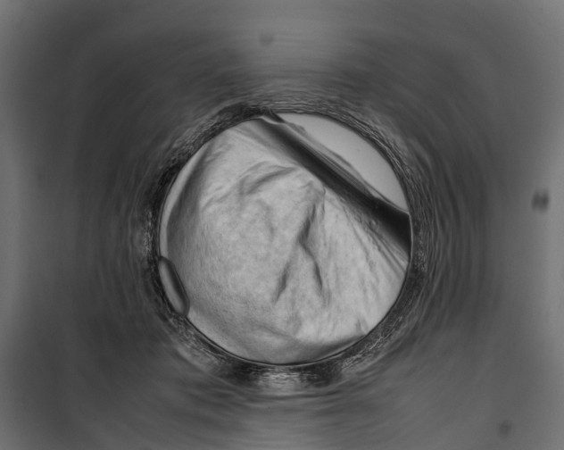 X0000099980413200806201430