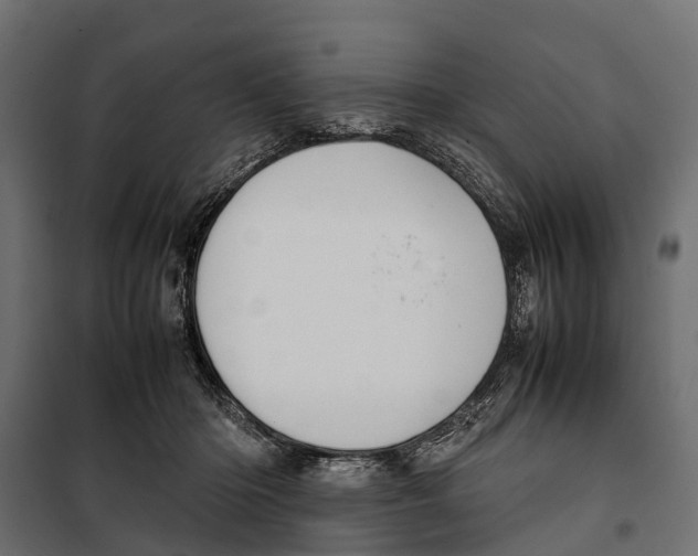 X0000099980414200806201430