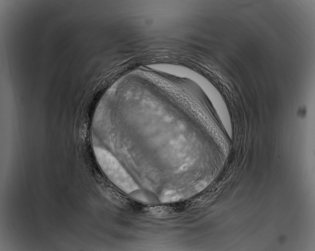 X0000099980417200806201430