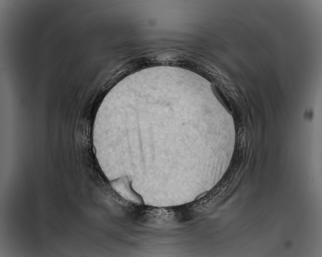 X0000099980421200806201430