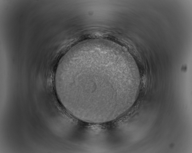 X0000099980423200806201430