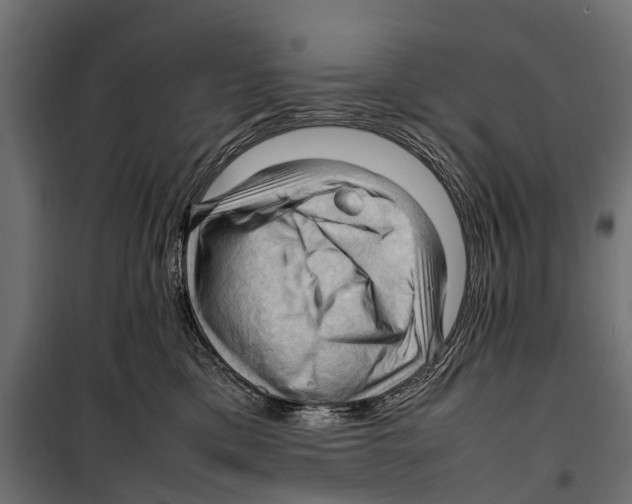 X0000099980425200806201430