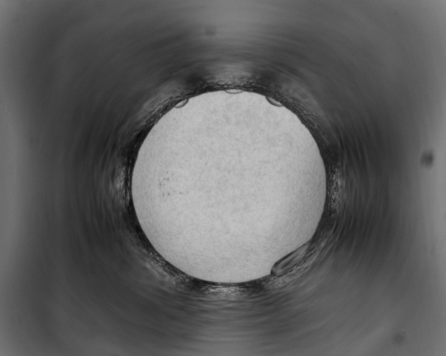 X0000099980428200806201430