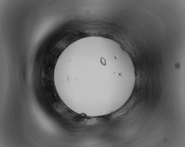 X0000099980430200806201430