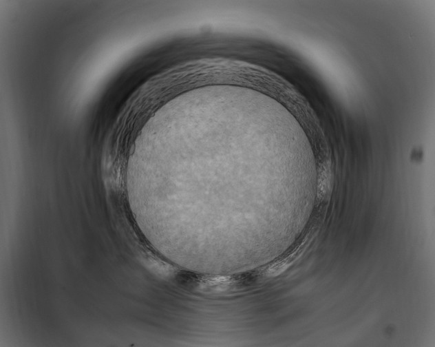 X0000099980431200806201430