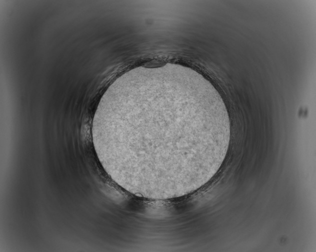 X0000099980432200806201430