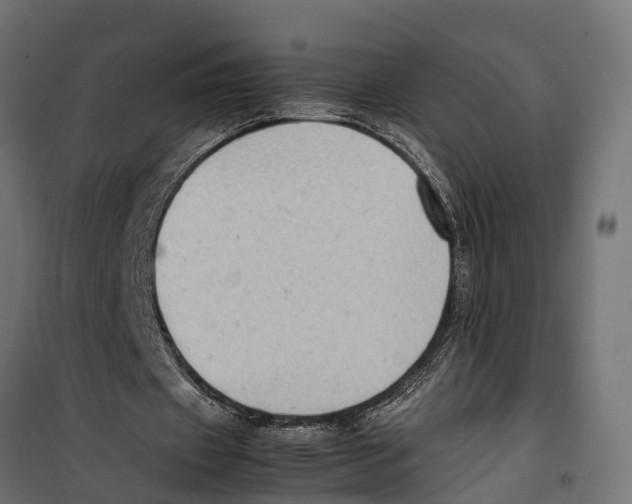 X0000099980433200806201429