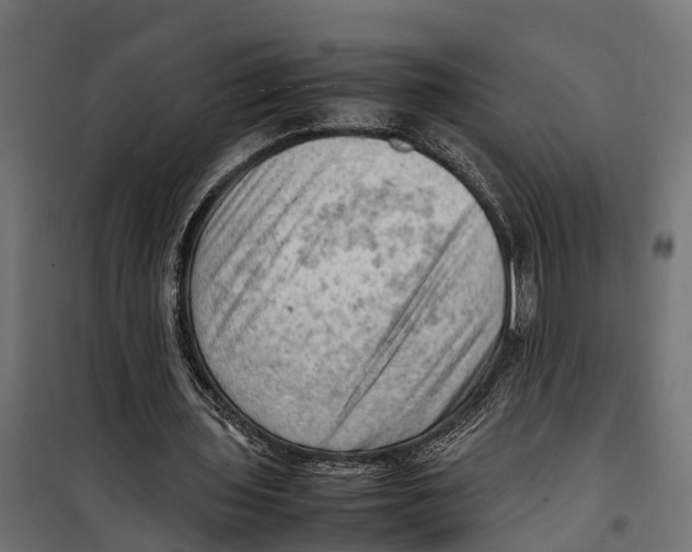 X0000099980435200806201429