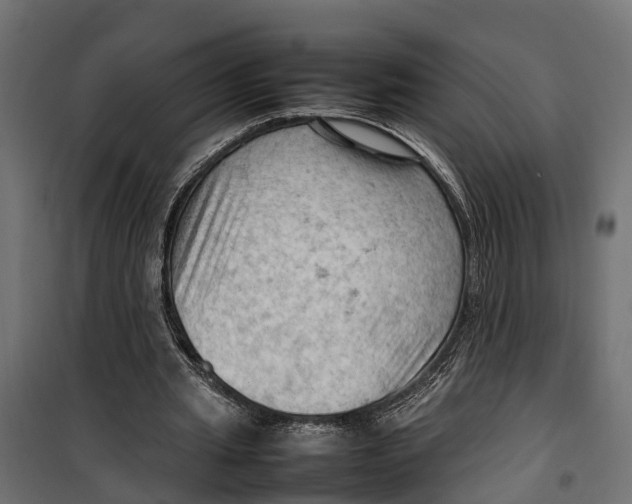 X0000099980437200806201429