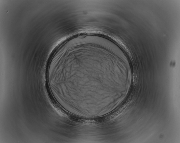 X0000099980438200806201429