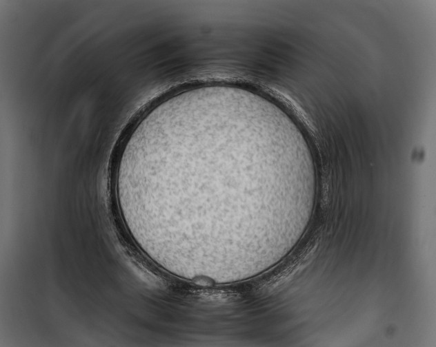 X0000099980439200806201429